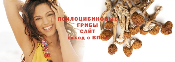 mix Вяземский