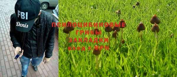 mix Вяземский